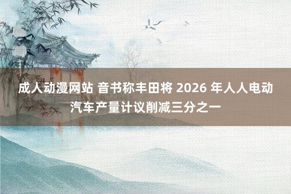 成人动漫网站 音书称丰田将 2026 年人人电动汽车产量计议削减三分之一