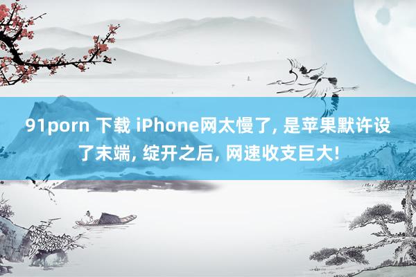 91porn 下载 iPhone网太慢了， 是苹果默许设了末端， 绽开之后， 网速收支巨大!