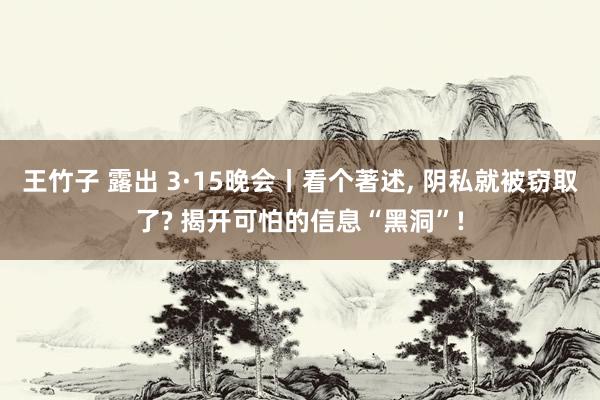 王竹子 露出 3·15晚会丨看个著述， 阴私就被窃取了? 揭开可怕的信息“黑洞”!